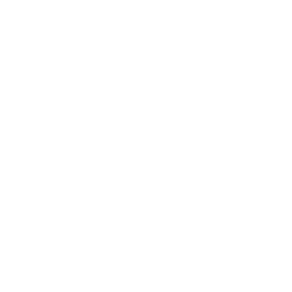 VECTA VECTA